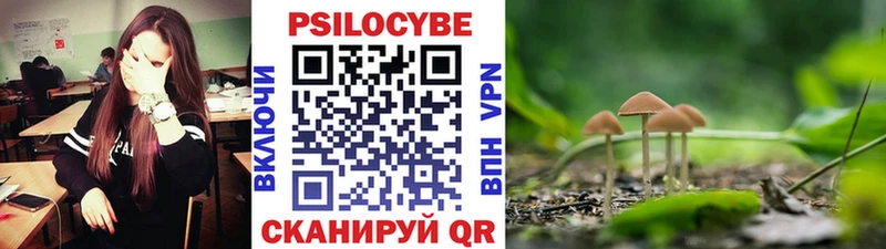 Псилоцибиновые грибы Magic Shrooms  Кувшиново 